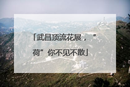 武昌顶流花展，“荷”你不见不散